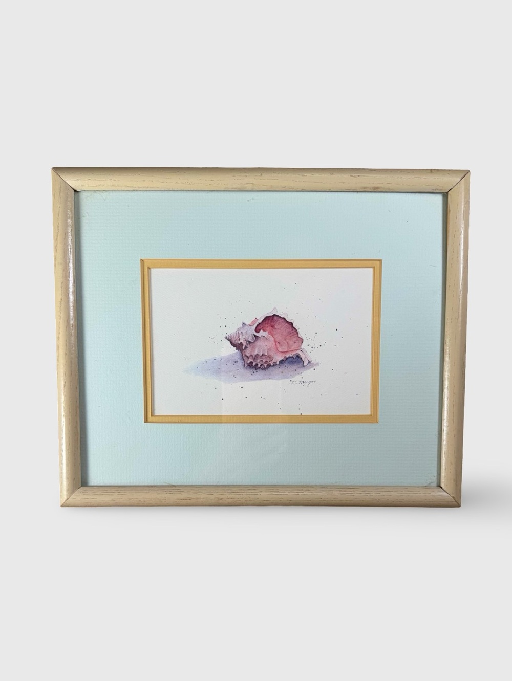 Vintage D. Morgan Framed Watercolor Conch Shell Art Print Coastal